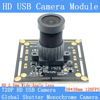720 P MJPEG 120FPS Monokrom Küresel Deklanşör USB Kamera Modülü Yüksek Hızlı OTG UVC Linux USB Mini cctv Gözetim kamera 2.5 mm